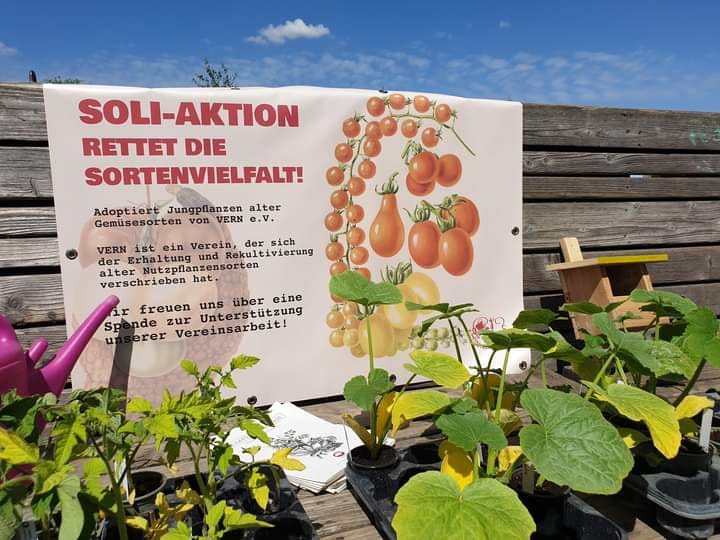 Soli-Aktion: Rettet die Sortenvielfalt