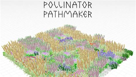 Kunst für Bestäuber: Pollinator Pathmaker